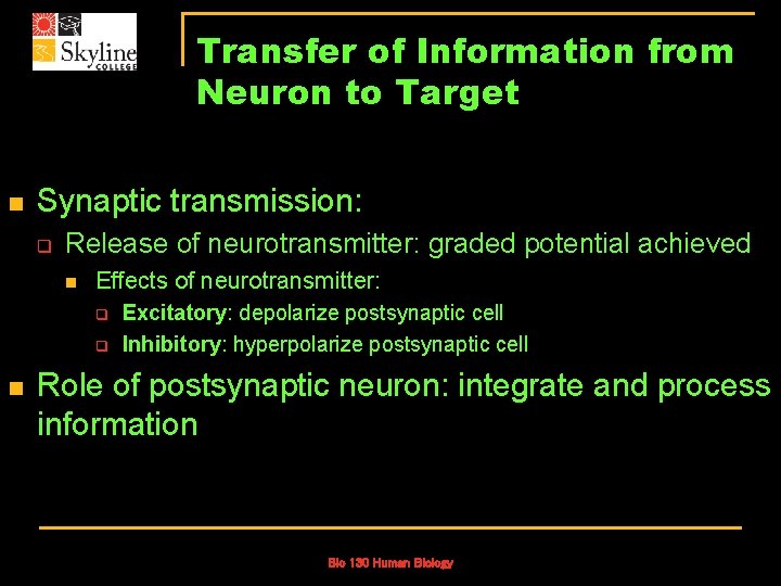 Transfer of Information from Neuron to Target n Synaptic transmission: q Release of neurotransmitter: