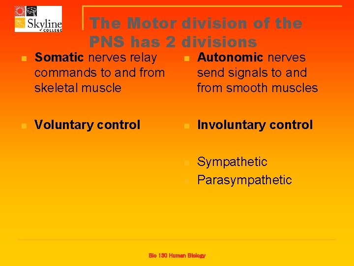 The Motor division of the PNS has 2 divisions n Somatic nerves relay commands