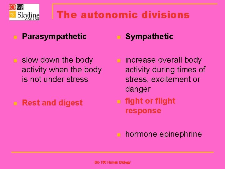 The autonomic divisions n Parasympathetic n Sympathetic n slow down the body activity when