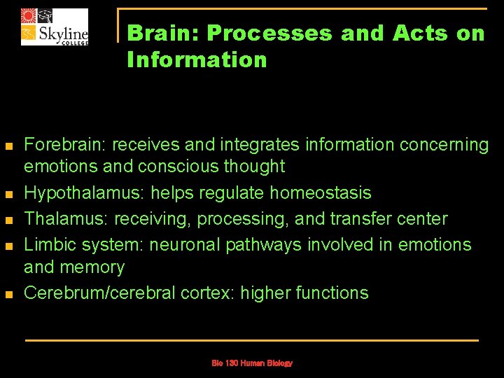 Brain: Processes and Acts on Information n n Forebrain: receives and integrates information concerning