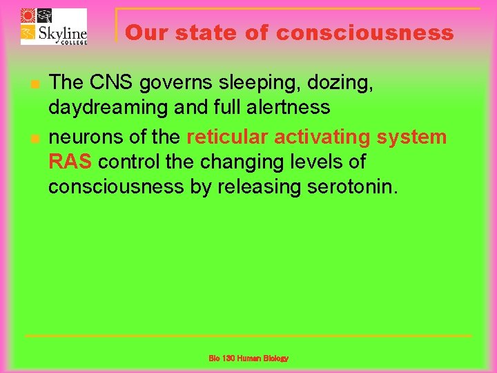 Our state of consciousness n n The CNS governs sleeping, dozing, daydreaming and full