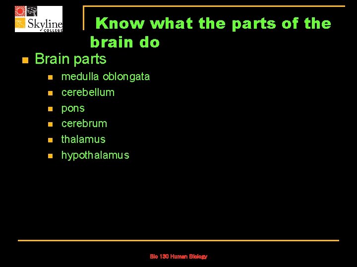 Know what the parts of the brain do n Brain parts n n n