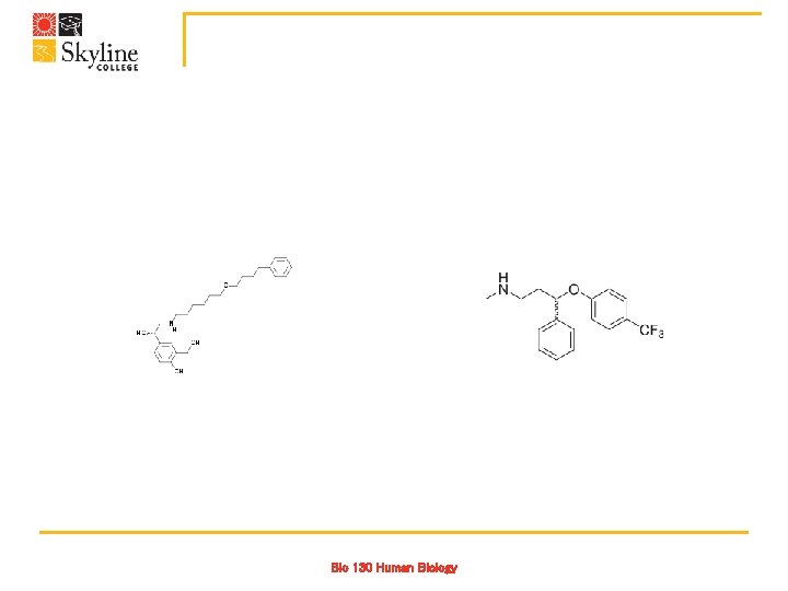 Bio 130 Human Biology 