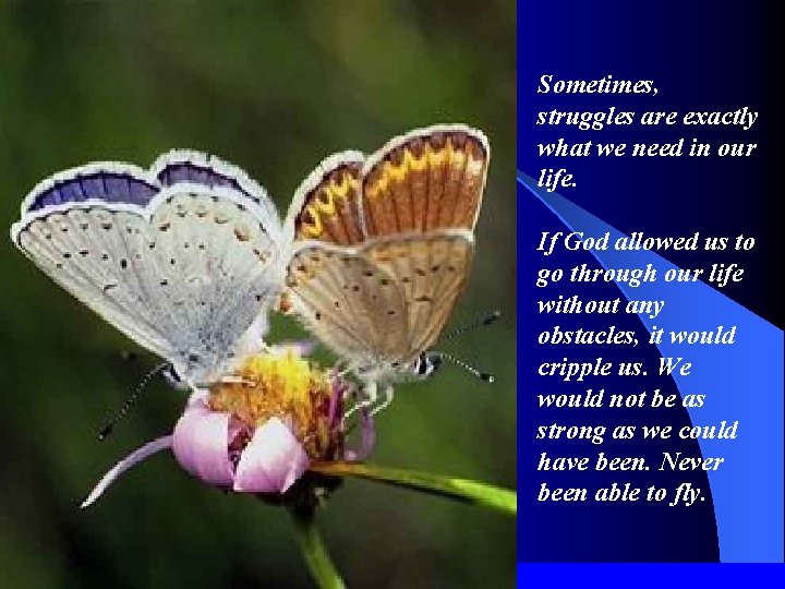 Sometimes, struggles are exactly what we need in our life. If God allowed us