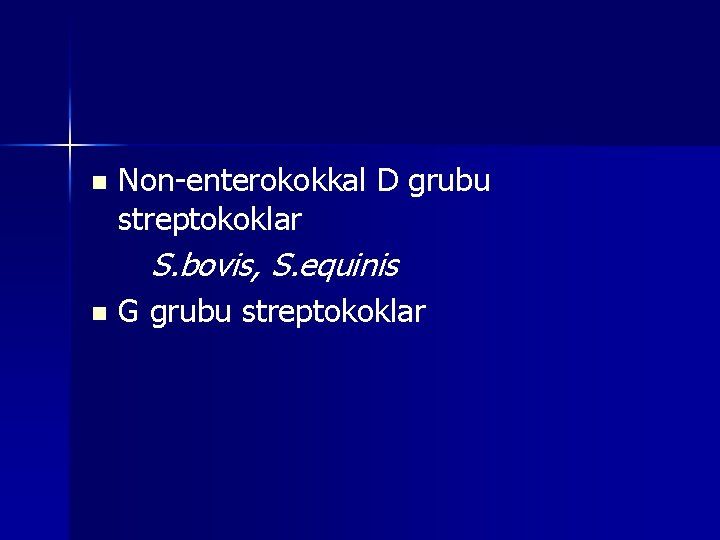 n Non-enterokokkal D grubu streptokoklar S. bovis, S. equinis n G grubu streptokoklar 