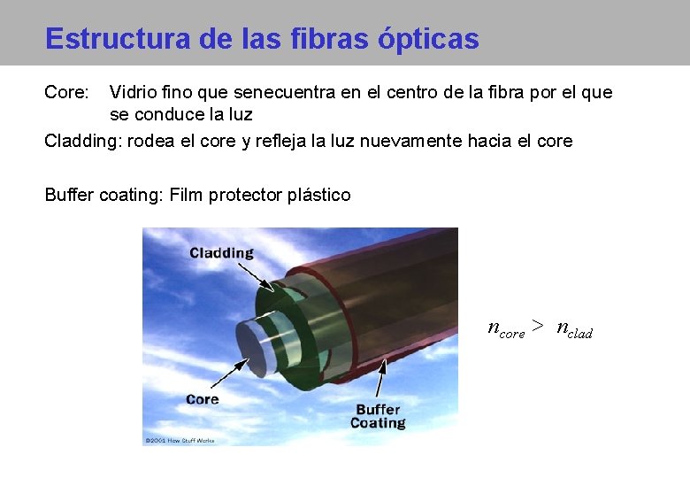 Estructura de las fibras ópticas Core: Vidrio fino que senecuentra en el centro de