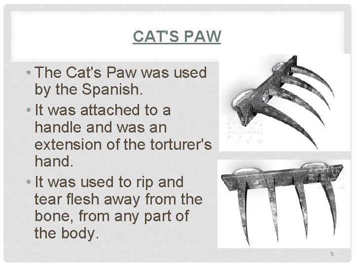  CAT'S PAW • The Cat's Paw was used by the Spanish. • It
