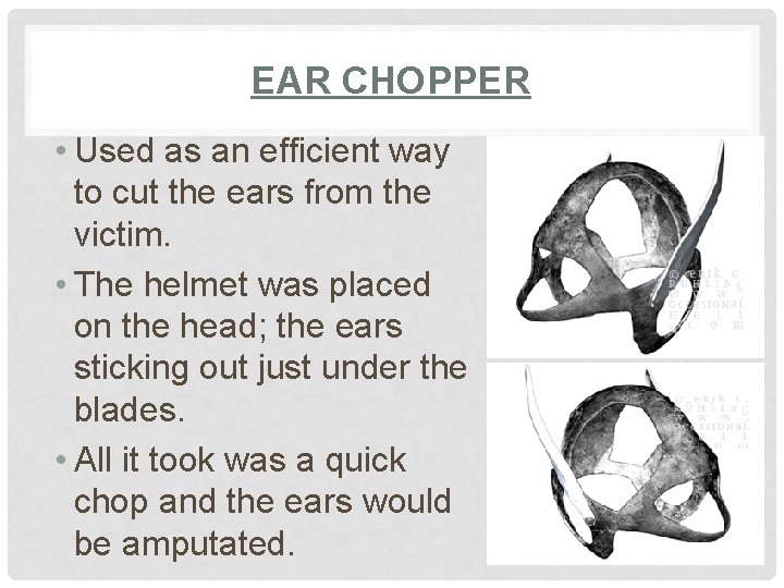 EAR CHOPPER • Used as an efficient way to cut the ears from the