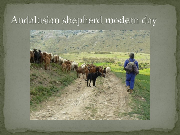 Andalusian shepherd modern day 