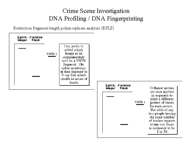 Crime Scene Investigation DNA Profiling / DNA Fingerprinting Restriction fragment length polymorphism analysis (RFLP)