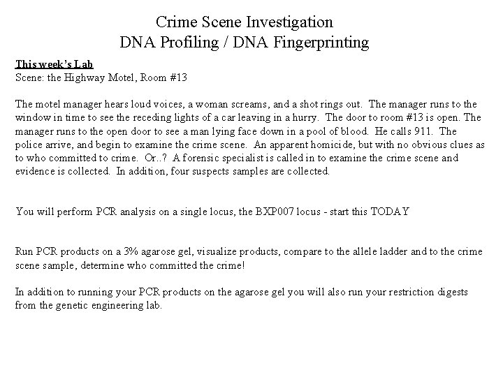 Crime Scene Investigation DNA Profiling / DNA Fingerprinting This week’s Lab Scene: the Highway