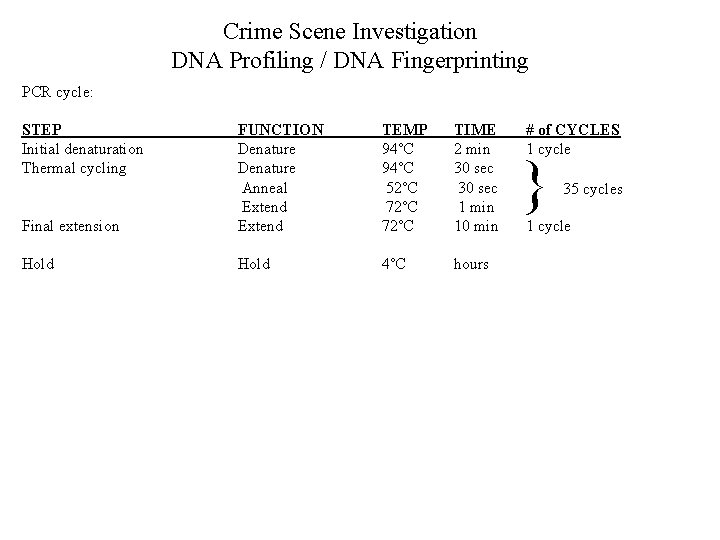 Crime Scene Investigation DNA Profiling / DNA Fingerprinting PCR cycle: STEP Initial denaturation Thermal