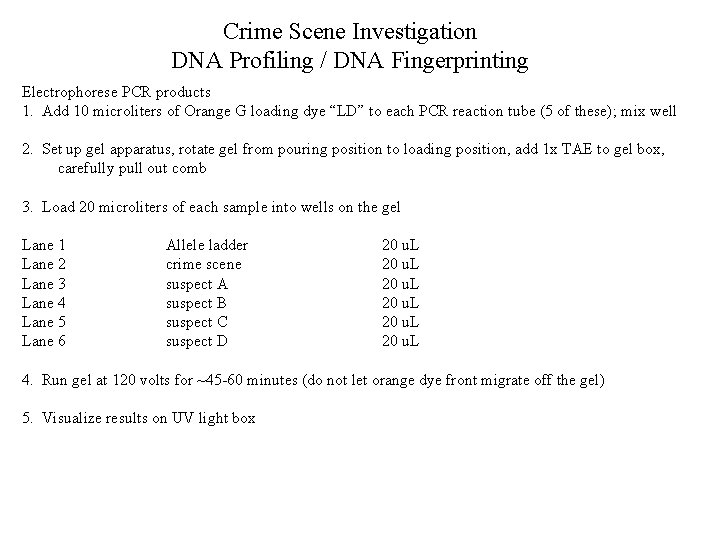 Crime Scene Investigation DNA Profiling / DNA Fingerprinting Electrophorese PCR products 1. Add 10