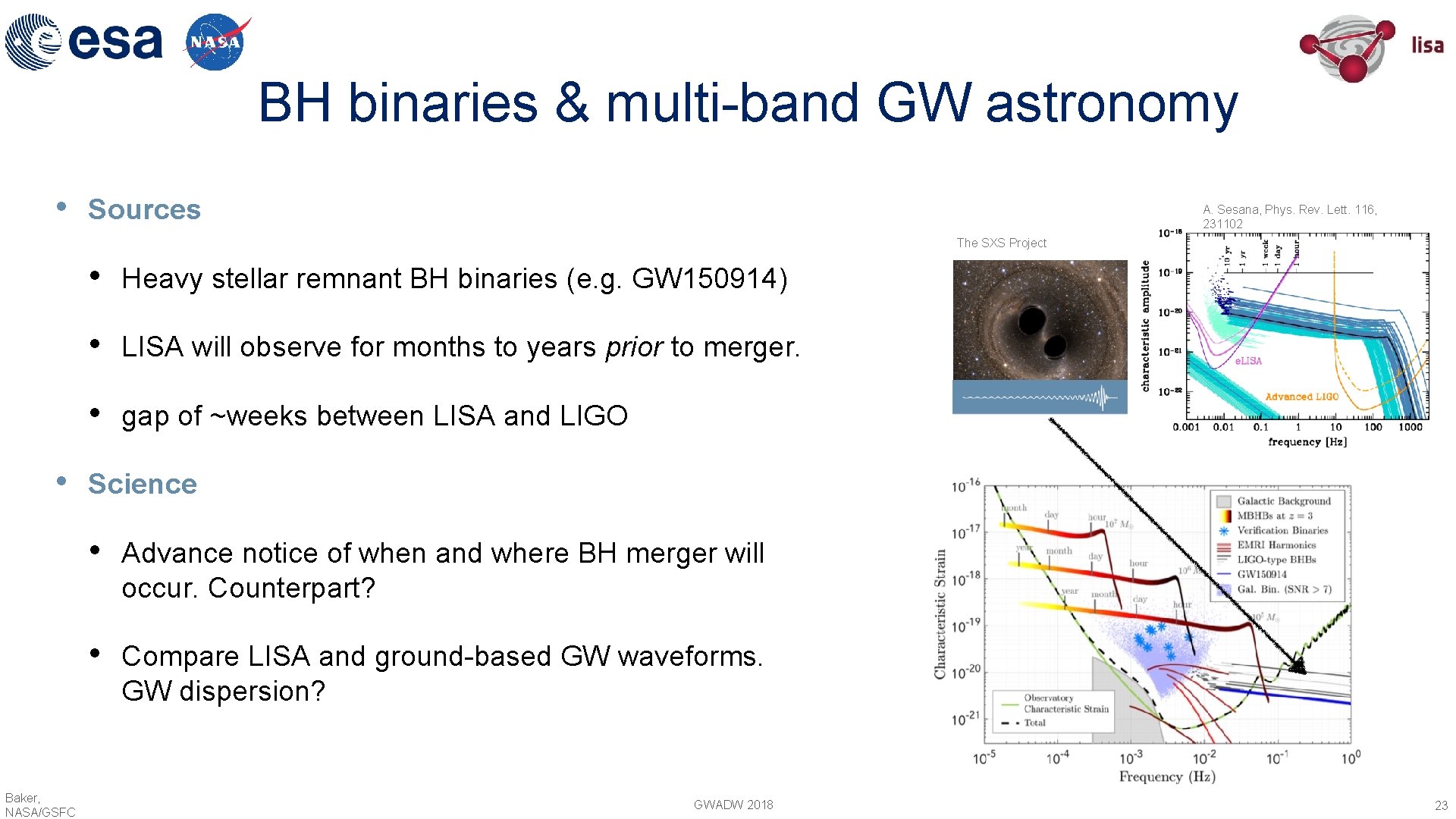 BH binaries & multi-band GW astronomy • Sources A. Sesana, Phys. Rev. Lett. 116,