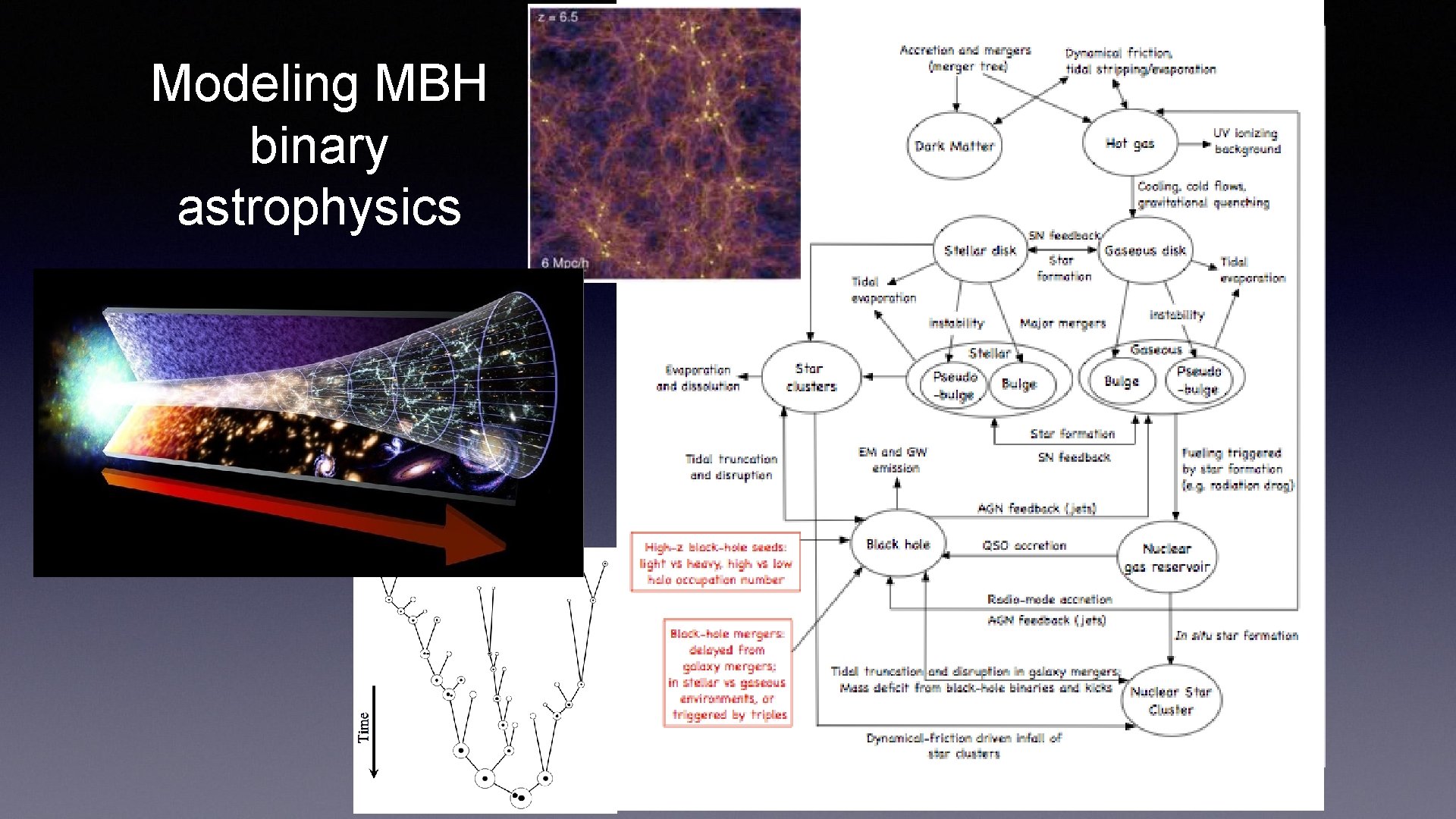 Modeling MBH binary astrophysics 