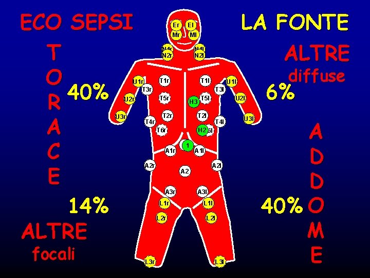 ECO SEPSI T O 40% R A C E 14% ALTRE Er Mr focali