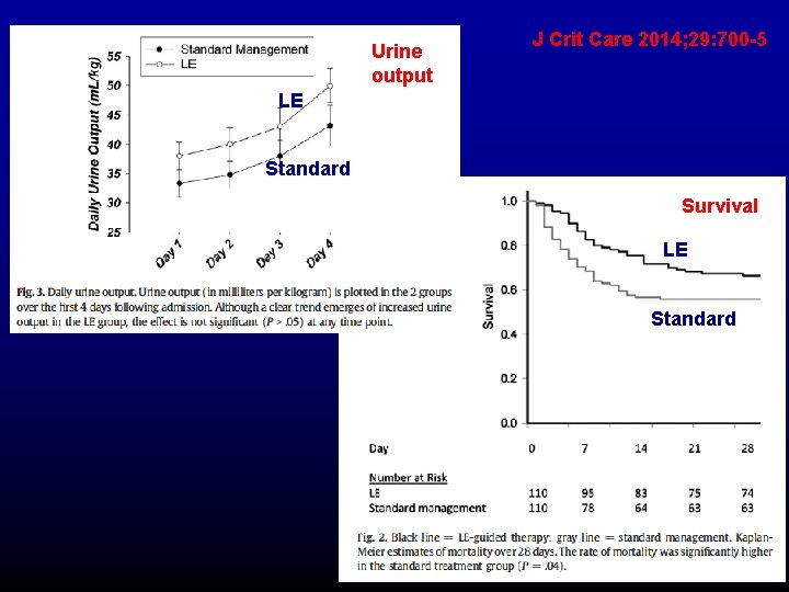 Urine output J Crit Care 2014; 29: 700 -5 LE Standard Survival LE Standard