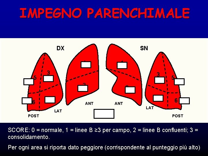 IMPEGNO PARENCHIMALE DX SN 1 5 1 3 3 2 6 ANT LAT POST