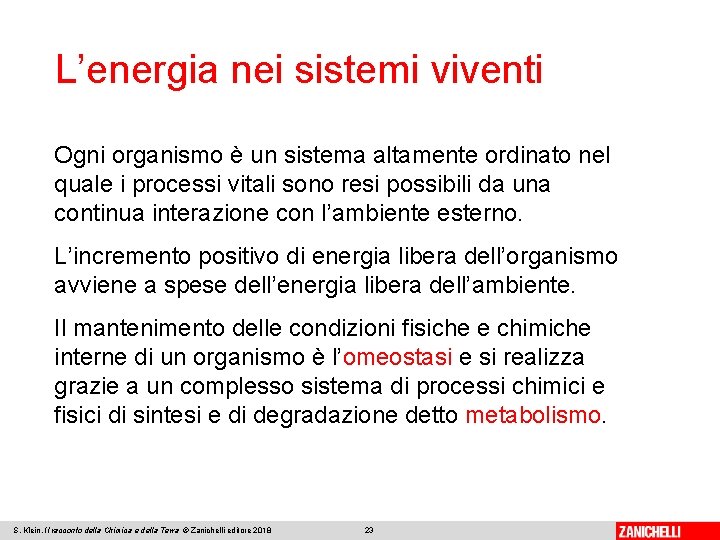 L’energia nei sistemi viventi Ogni organismo è un sistema altamente ordinato nel quale i