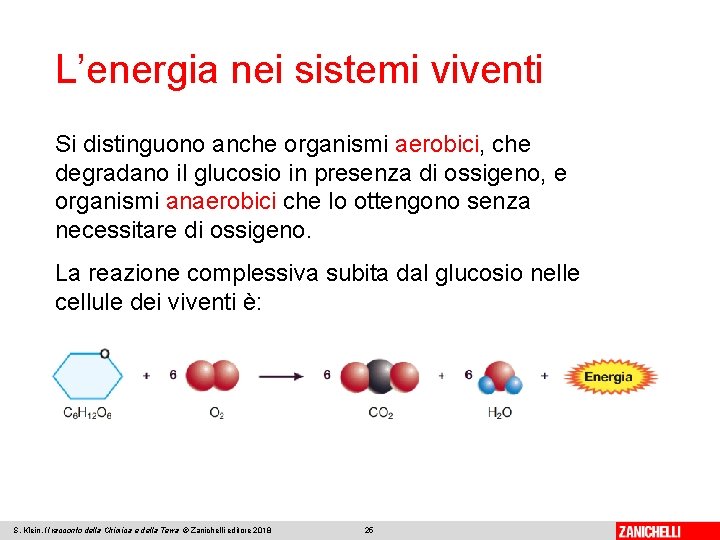 L’energia nei sistemi viventi Si distinguono anche organismi aerobici, che degradano il glucosio in