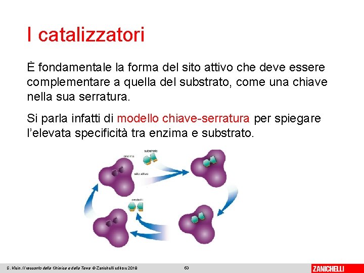 I catalizzatori È fondamentale la forma del sito attivo che deve essere complementare a