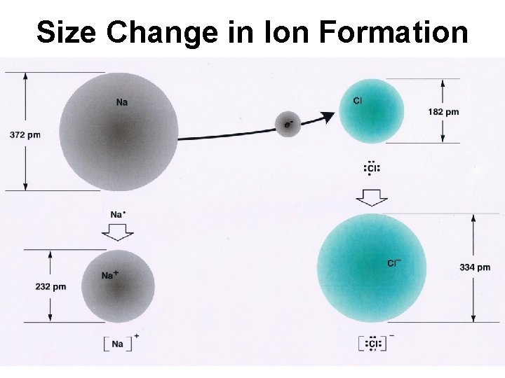 Size Change in Ion Formation 