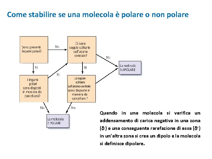 Come stabilire se una molecola è polare o non polare Quando in una molecola