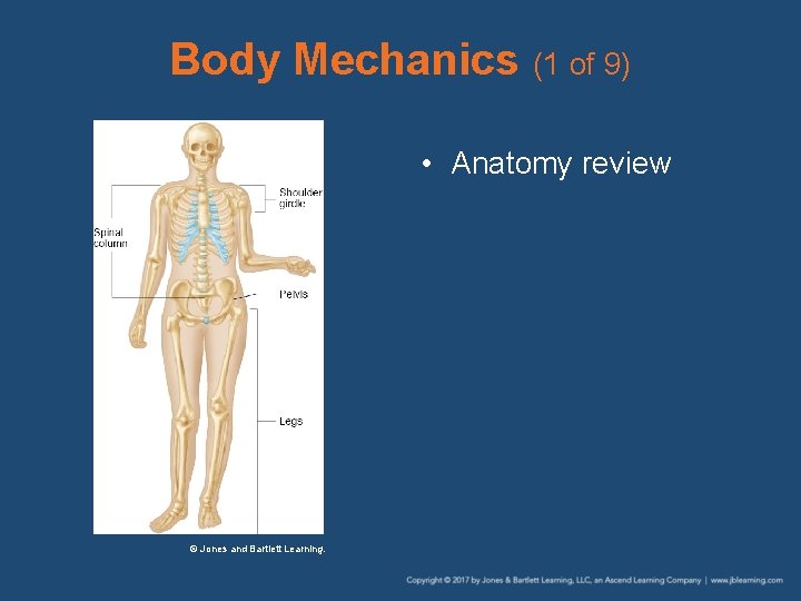 Body Mechanics (1 of 9) • Anatomy review © Jones and Bartlett Learning. 