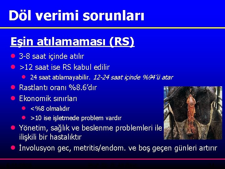 Döl verimi sorunları Eşin atılamaması (RS) · 3 -8 saat içinde atılır · >12