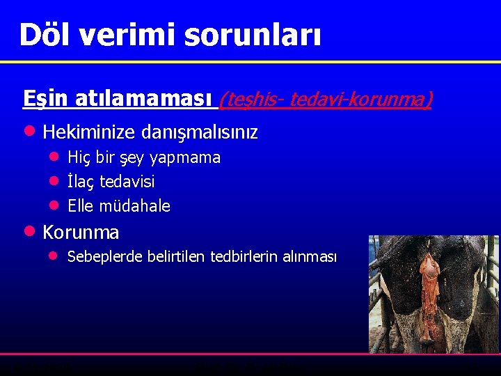 Döl verimi sorunları Eşin atılamaması (teşhis- tedavi-korunma) · Hekiminize danışmalısınız · · · Hiç