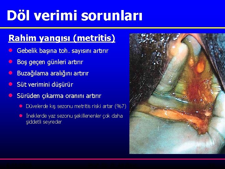 Döl verimi sorunları Rahim yangısı (metritis) · · · Gebelik başına toh. sayısını artırır