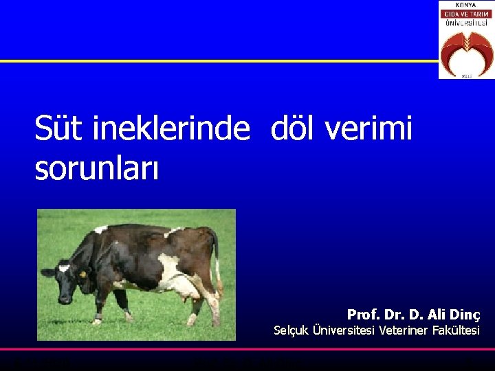 Süt ineklerinde döl verimi sorunları Prof. Dr. D. Ali Dinç Selçuk Üniversitesi Veteriner Fakültesi