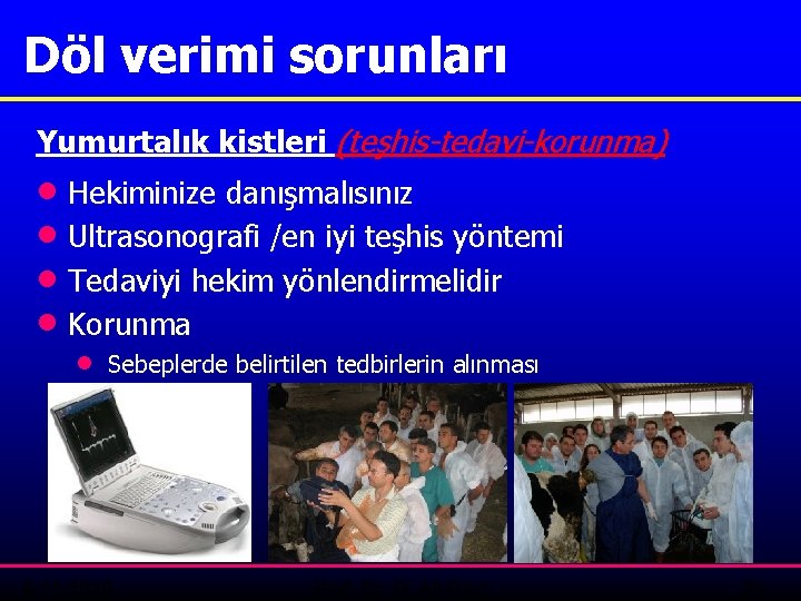 Döl verimi sorunları Yumurtalık kistleri (teşhis-tedavi-korunma) · Hekiminize danışmalısınız · Ultrasonografi /en iyi teşhis