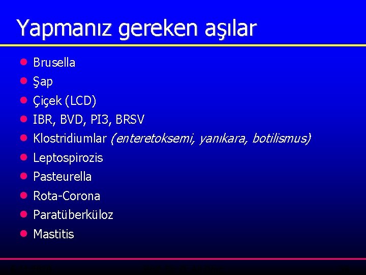 Yapmanız gereken aşılar · Brusella · Şap · Çiçek (LCD) · IBR, BVD, PI