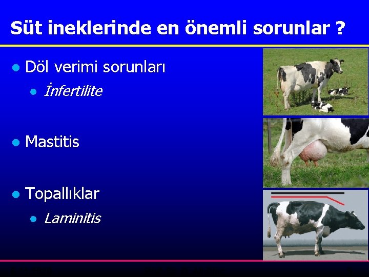 Süt ineklerinde en önemli sorunlar ? ● Döl verimi sorunları ● İnfertilite ● Mastitis