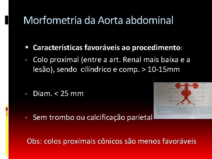 Morfometria da Aorta abdominal Características favoráveis ao procedimento: - Colo proximal (entre a art.