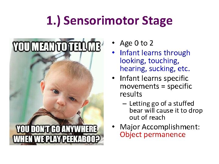 1. ) Sensorimotor Stage • Age 0 to 2 • Infant learns through looking,