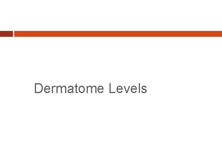 Dermatome Levels 