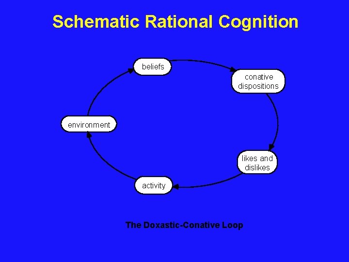 Schematic Rational Cognition beliefs conative dispositions environment likes and dislikes activity The Doxastic-Conative Loop