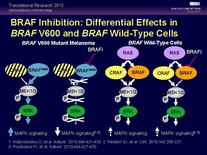 Translational Research 2012 clinicaloptions. com/oncology BRAF Inhibition: Differential Effects in BRAF V 600 and