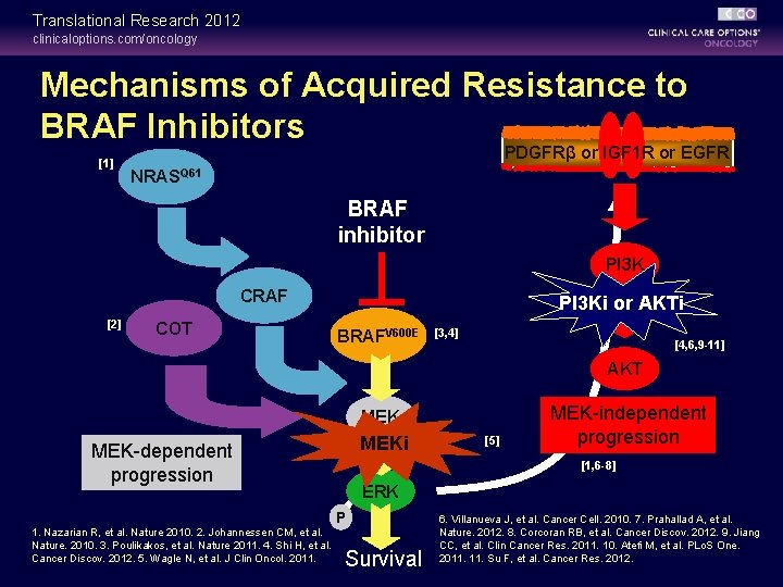 Translational Research 2012 clinicaloptions. com/oncology Mechanisms of Acquired Resistance to BRAF Inhibitors [1] PDGFRβ