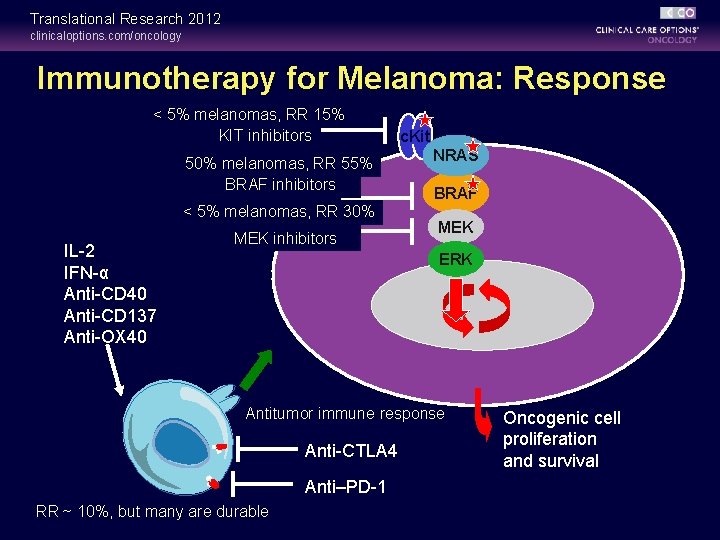 Translational Research 2012 clinicaloptions. com/oncology Immunotherapy for Melanoma: Response < 5% melanomas, RR 15% Translational Research 2012 clinicaloptions. com/oncology Immunotherapy for Melanoma: Response < 5% melanomas, RR 15%