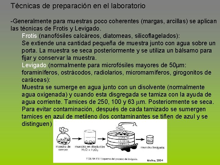 Técnicas de preparación en el laboratorio -Generalmente para muestras poco coherentes (margas, arcillas) se