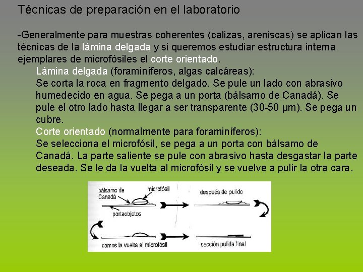 Técnicas de preparación en el laboratorio -Generalmente para muestras coherentes (calizas, areniscas) se aplican