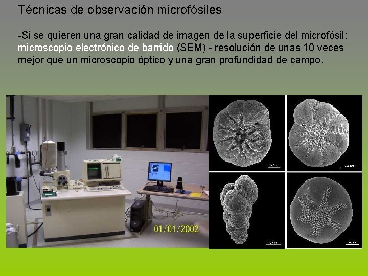 Técnicas de observación microfósiles -Si se quieren una gran calidad de imagen de la