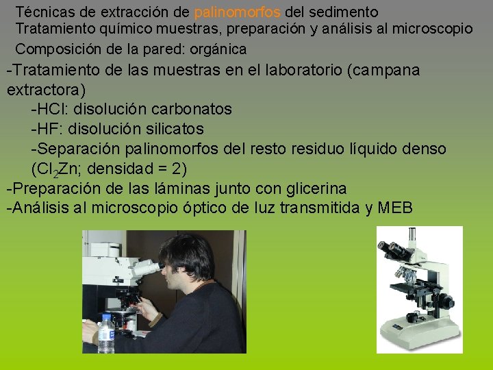 Técnicas de extracción de palinomorfos del sedimento Tratamiento químico muestras, preparación y análisis al