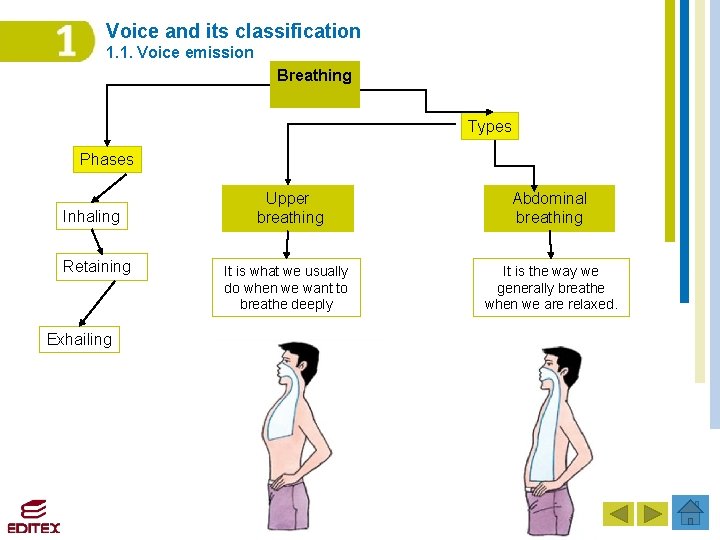 Voice and its classification 1. 1. Voice emission Breathing Types Phases Inhaling Retaining Exhailing Voice and its classification 1. 1. Voice emission Breathing Types Phases Inhaling Retaining Exhailing