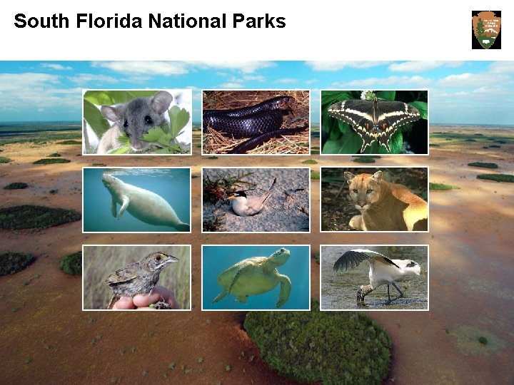 South Florida National Parks Everglades National Park South Florida Natural Resources Center 