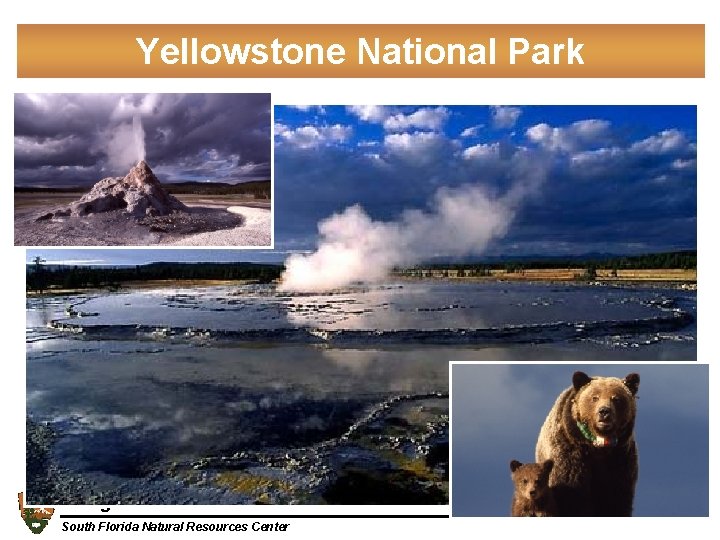 Yellowstone National Park Everglades National Park South Florida Natural Resources Center 