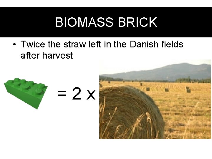 Biomass. BRICK brick BIOMASS • Twice the straw left in the Danish fields after